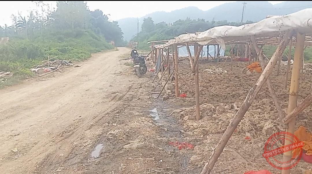 Bau Busuk Limbah Bulu Ayam Sengsarakan Warga, Publik Tunggu Nyali Satpol PP dan DLH Kabupaten Bogor