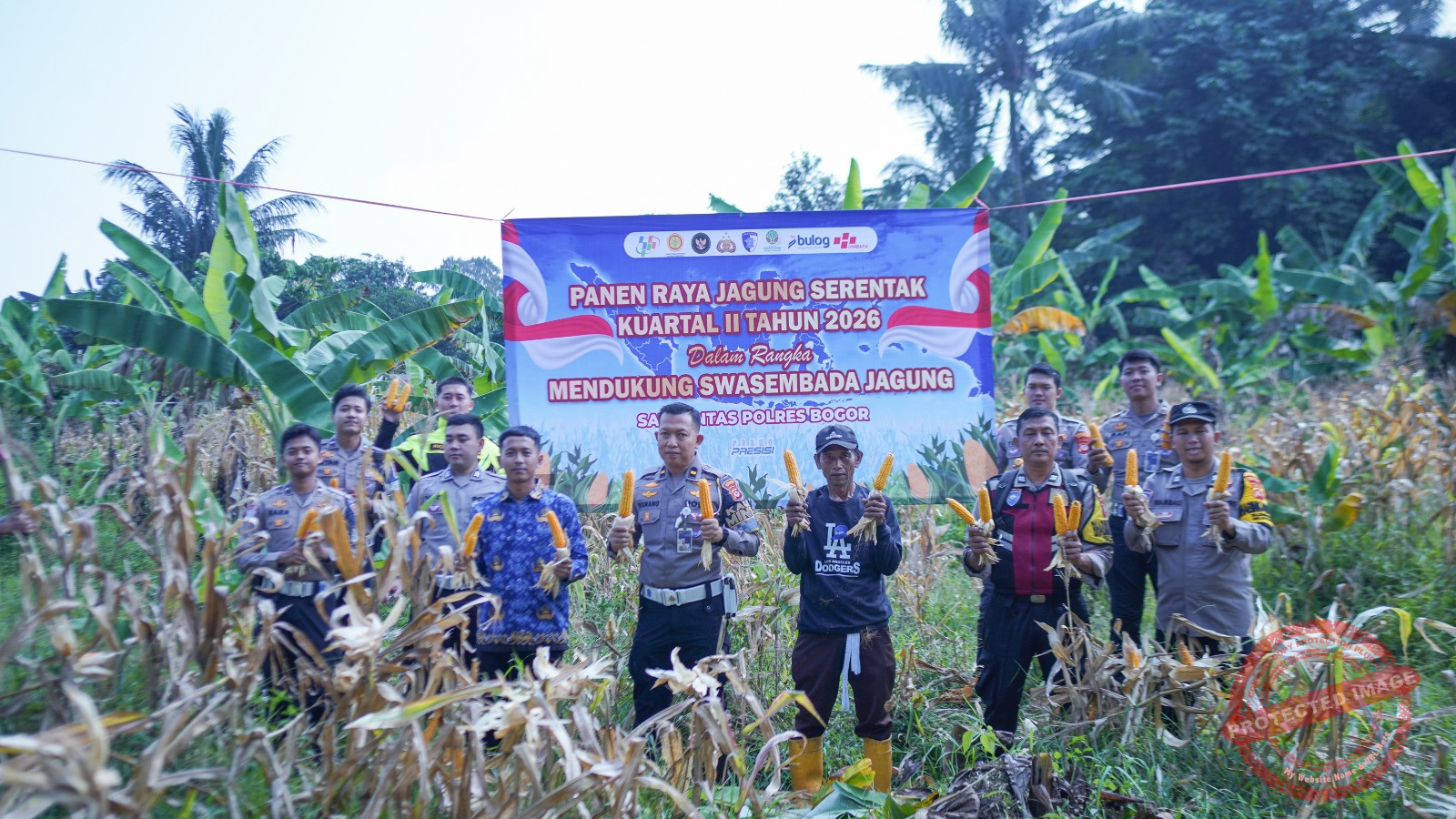Satlantas Polres Bogor Panen Raya Jagung Serentak Dalam Rangka Mendukung Swasembada Pangan