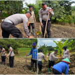 ​Wujud Nyata Polri Peduli Petani, Sat Lantas Polres Kuningan Sukseskan Program Ketahanan Pangan