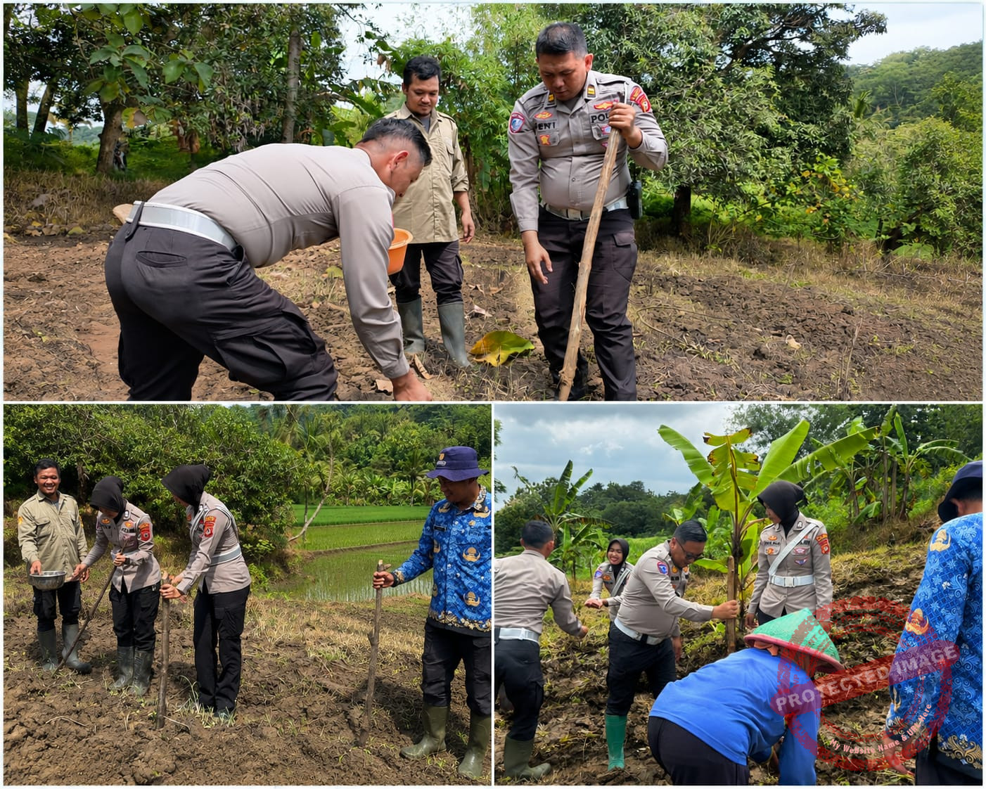 Wujud Nyata Polri Peduli Petani, Sat Lantas Polres Kuningan Sukseskan Program Ketahanan Pangan